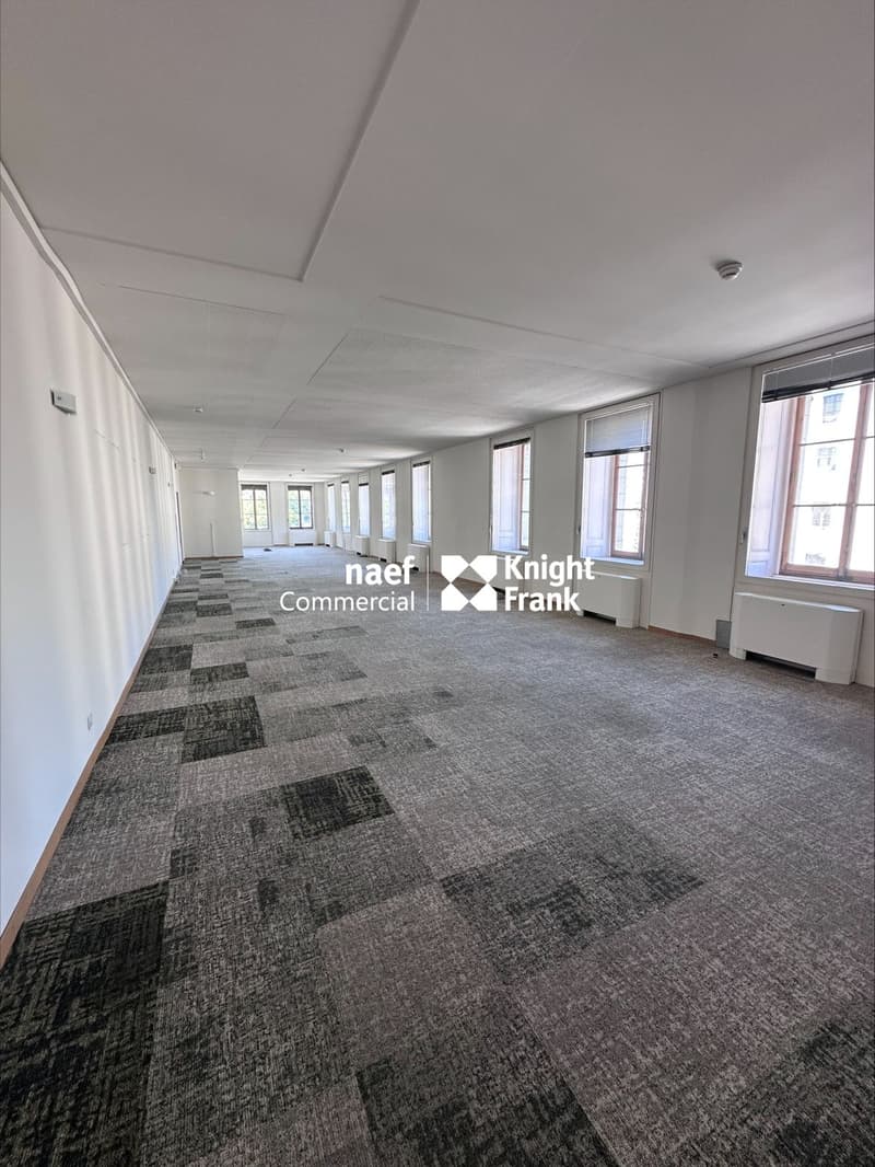 Chantepoulet - Bureaux de 316 m² au 3ème étage (4)