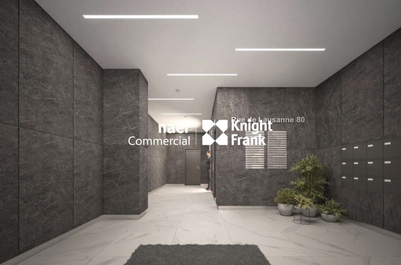 Rue de Lausanne - Bureaux de 289 m² (2)