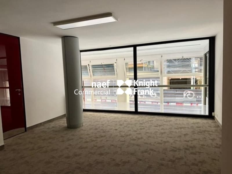 A louer Bureaux d'exception au cur des Eaux-Vives (7)
