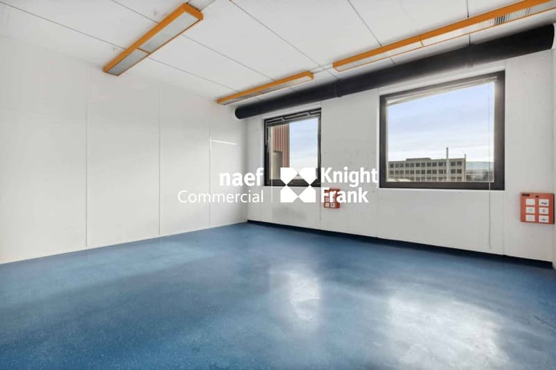 Surface de 430 m² en zone industrielle ZIMEYSA de Meyrin (10)