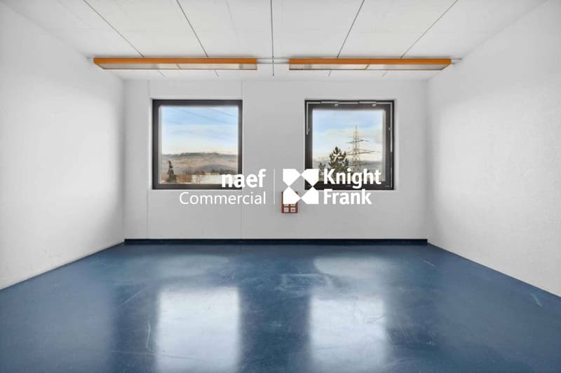 Surface de 430 m² en zone industrielle ZIMEYSA de Meyrin (11)