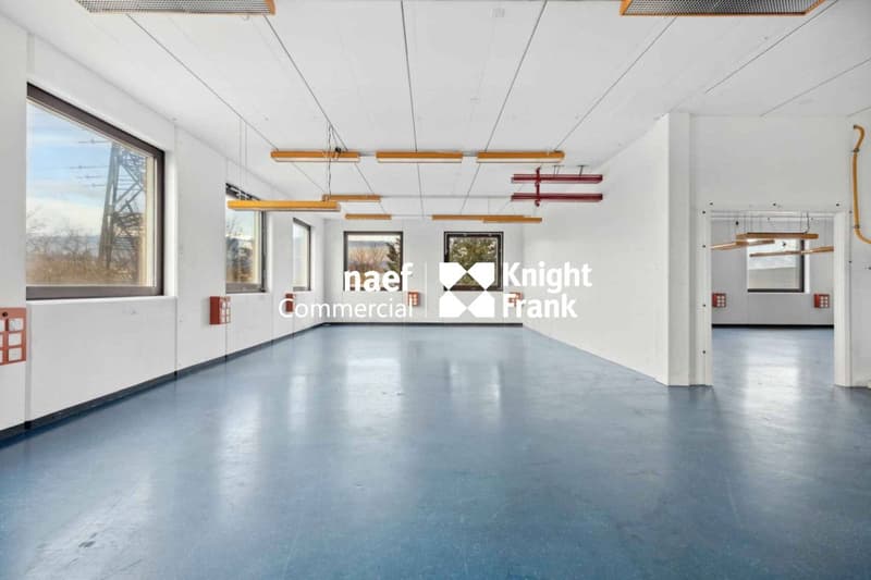 Surface de 430 m² en zone industrielle ZIMEYSA de Meyrin (8)