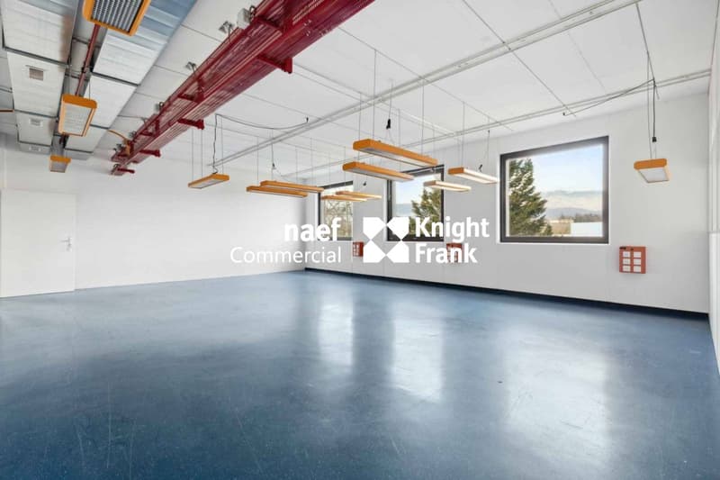 Surface de 430 m² en zone industrielle ZIMEYSA de Meyrin (7)