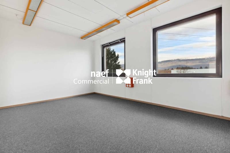 Surface de 430 m² en zone industrielle ZIMEYSA de Meyrin (12)