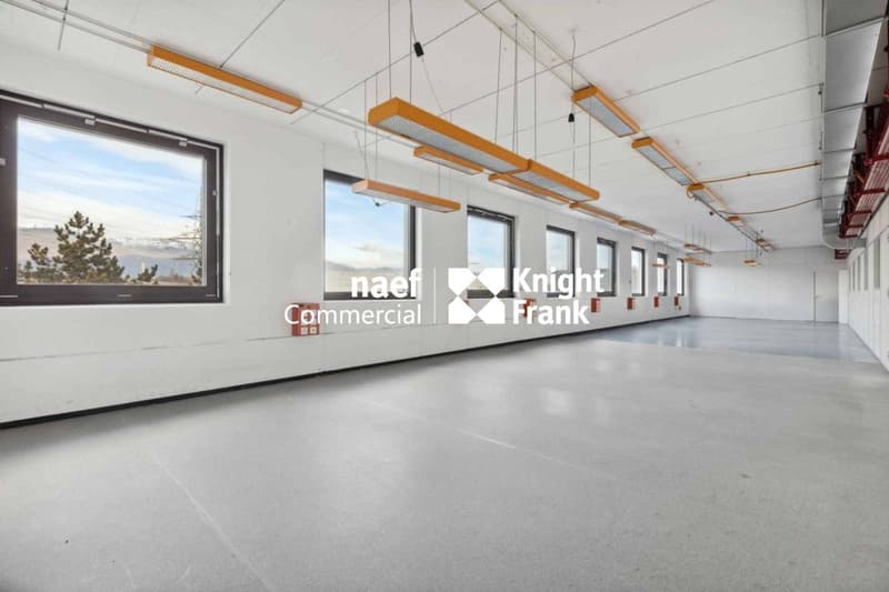 Surface de 430 m² en zone industrielle ZIMEYSA de Meyrin (5)