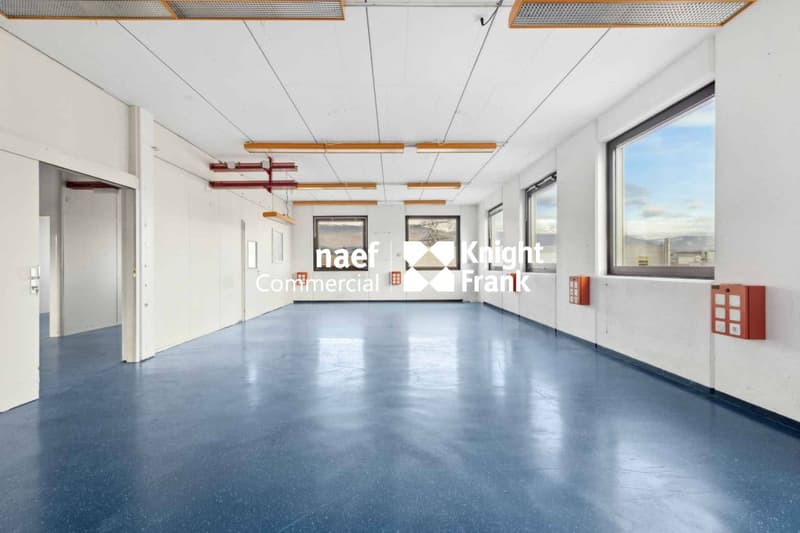 Surface de 430 m² en zone industrielle ZIMEYSA de Meyrin (4)