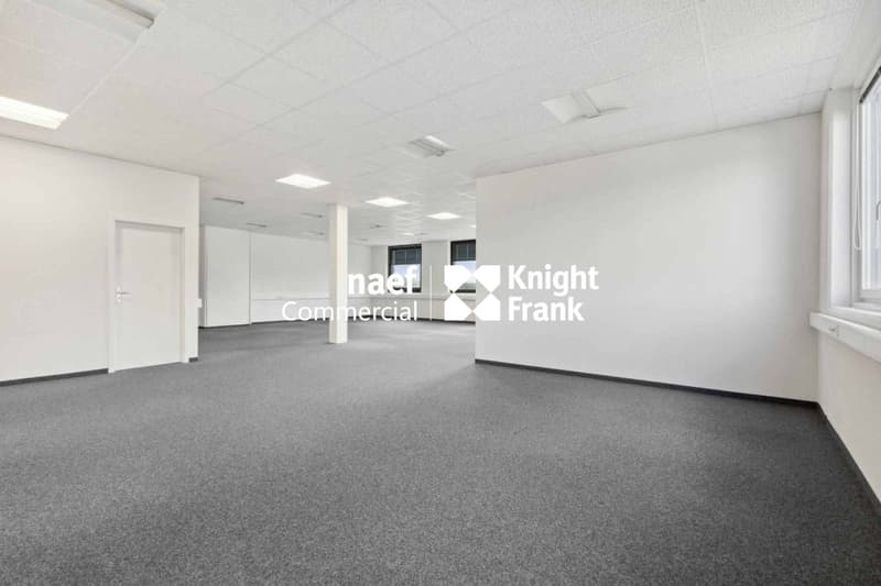Surface de 418 m² en zone industrielle ZIMEYSA de Meyrin (5)