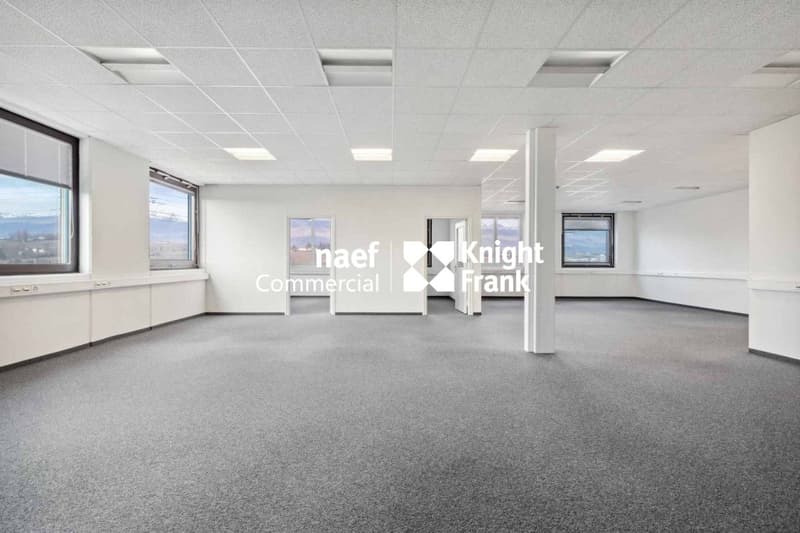 Surface de 418 m² en zone industrielle ZIMEYSA de Meyrin (4)