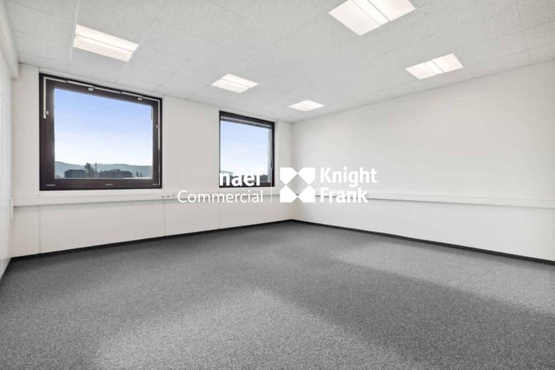 Surface de 418 m² en zone industrielle ZIMEYSA de Meyrin (6)