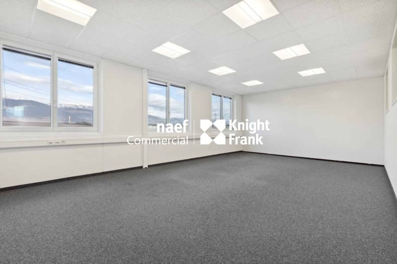 Surface de 377 m² en zone industrielle ZIMEYSA de Meyrin (6)