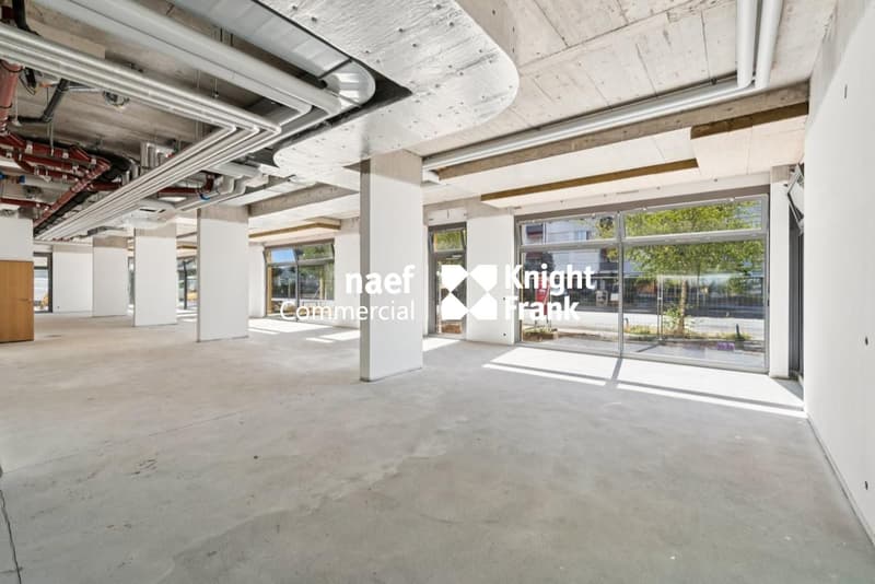 Arcade d'env 382 m² à louer - Petit-Saconnex (3)
