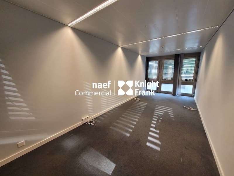 Malagnou - Bureau de 485 m² au rez-supérieur (9)