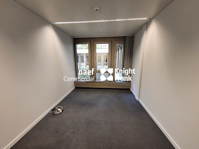 Malagnou - Bureau de 485 m² au rez-supérieur (8)