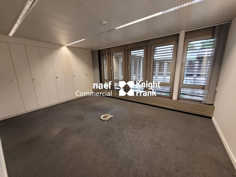 Malagnou - Bureau de 485 m² au rez-supérieur (5)