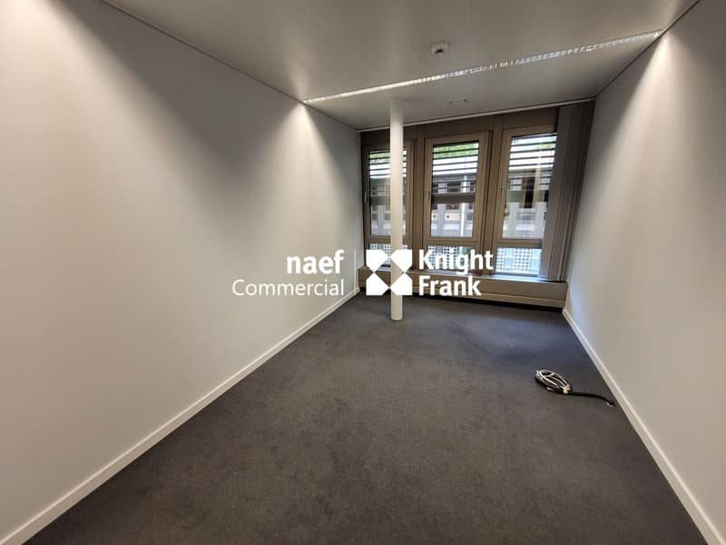 Malagnou - Bureau de 485 m² au rez-supérieur (7)
