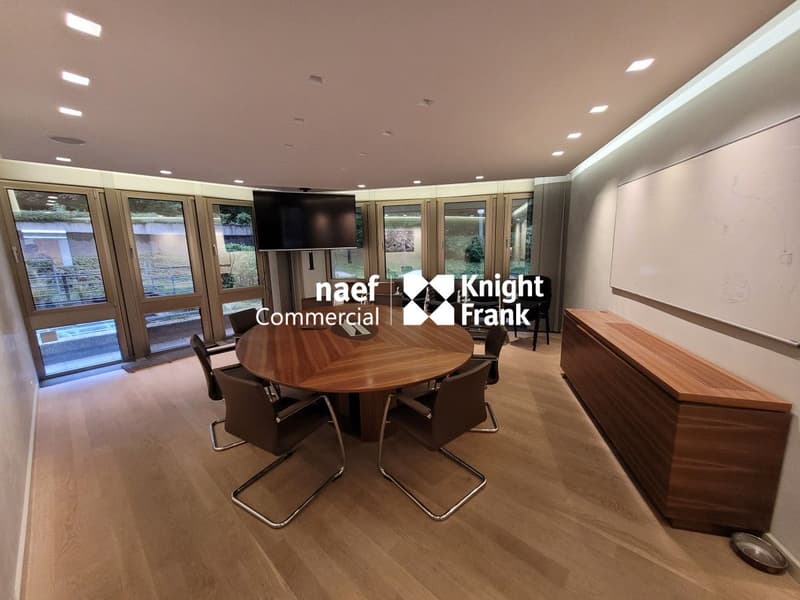 Malagnou - Bureau de 485 m² au rez-supérieur (3)