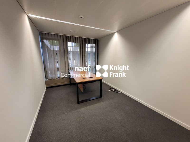 Malagnou - Bureau de 485 m² au rez-supérieur (6)