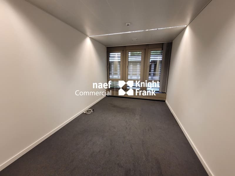 Malagnou - Bureau de 485 m² au rez-supérieur (4)