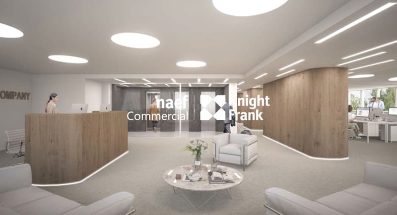 Rue de Lausanne - Bureaux de 1280 m² (3)