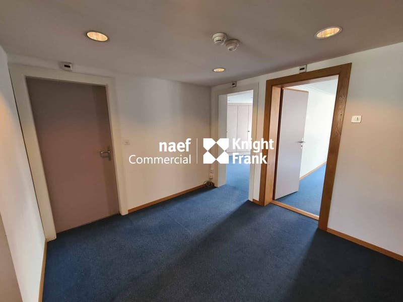 Chantepoulet - Bureau de 266m² aux derniers étages (5)
