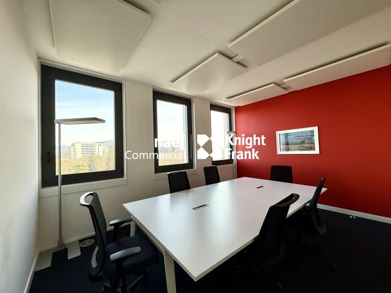 Superbes bureaux aménagés de 400m2  Vue Mont-Blanc  Proche Aéroport (4)