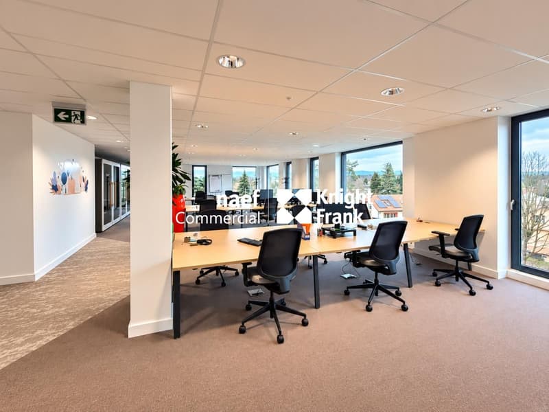 Thônex - Surface d'activité de 303 m² dans un immeuble récent (2)