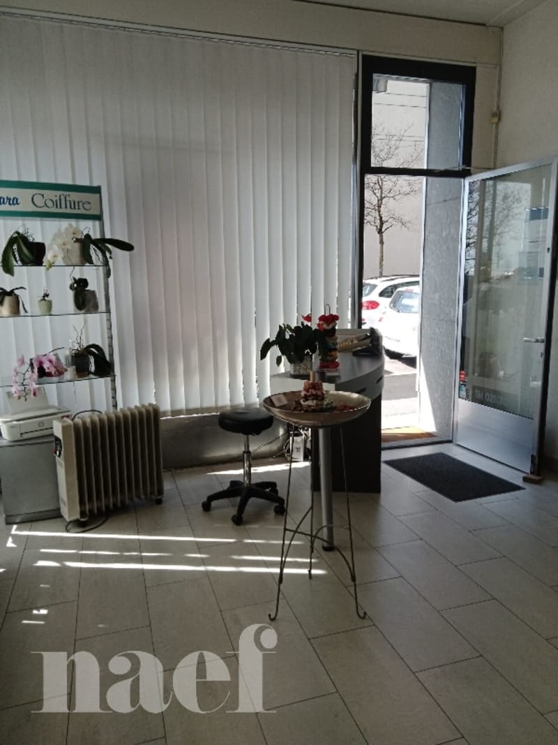 Salon de coiffure à Lausanne. (2)