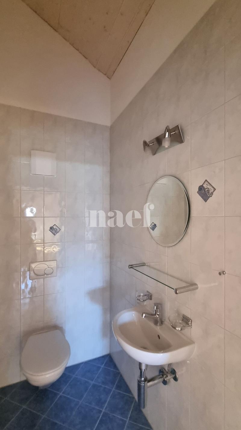 Spacieux appartement de 5.5 pièces au 3ème étage (11)