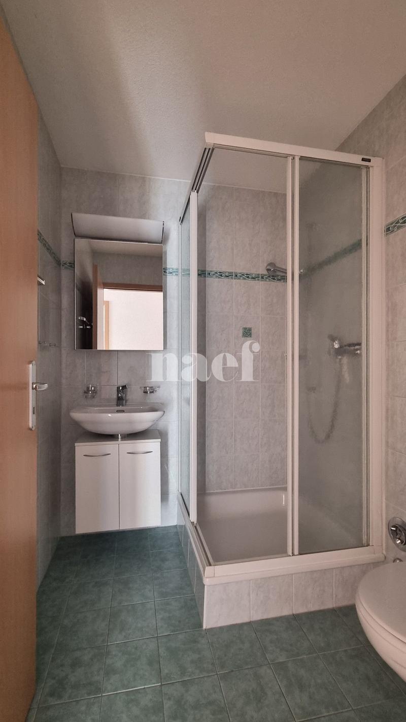Spacieux appartement de 5.5 pièces au 3ème étage (7)