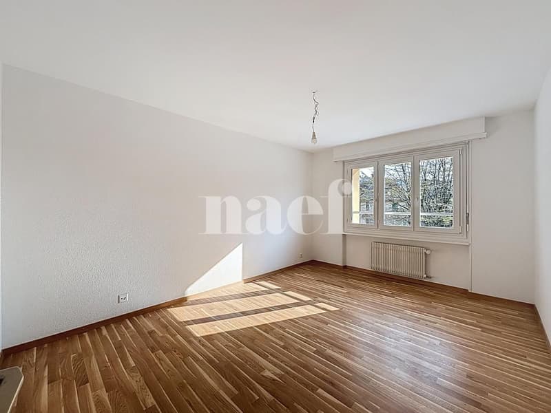 Spacieux logement rénové (5)