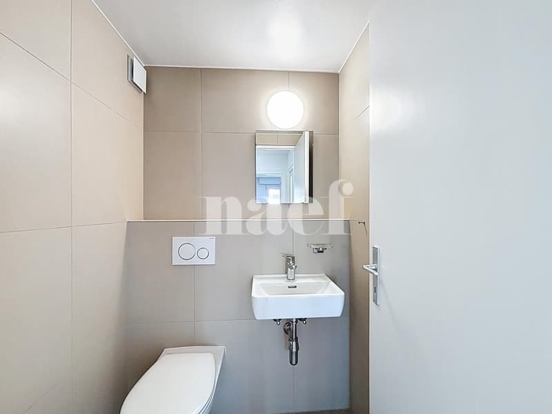 Spacieux logement rénové (8)