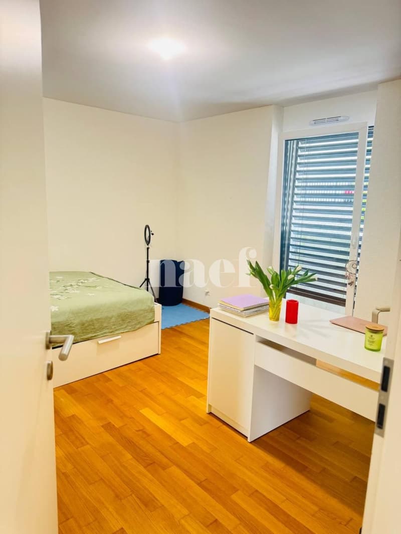 Magnifique appartement moderne (3)