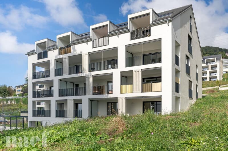 Magnifique appartement moderne (1)