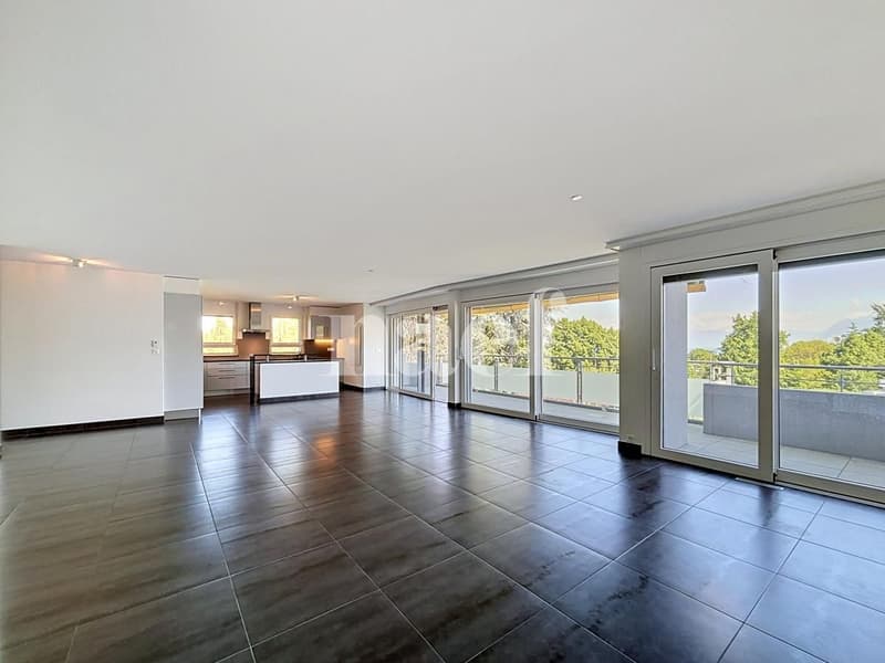 Sublime appartement avec terrasse (3)