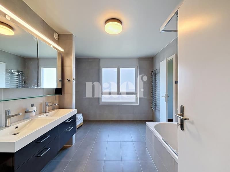 Sublime appartement avec terrasse (10)