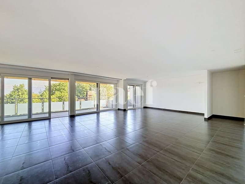 Sublime appartement avec terrasse (4)