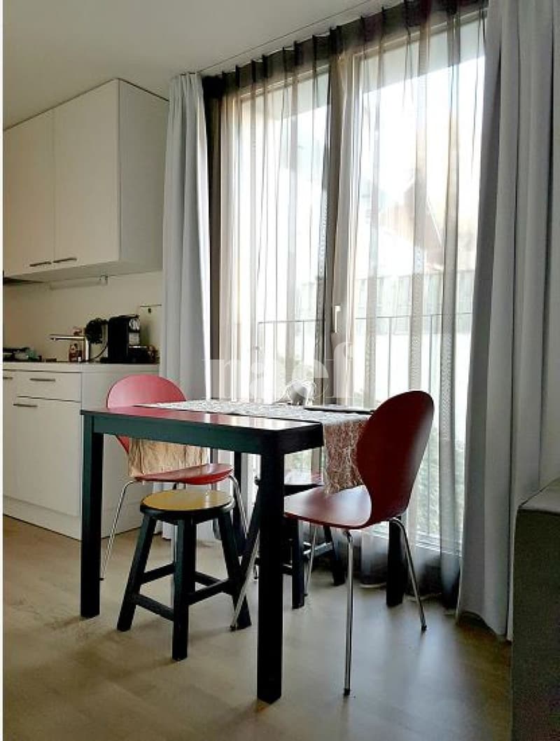 Studio meublé idéalement situé à Lausanne (3)