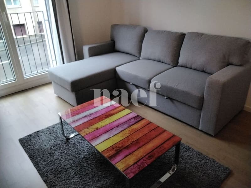 Studio meublé idéalement situé à Lausanne (4)