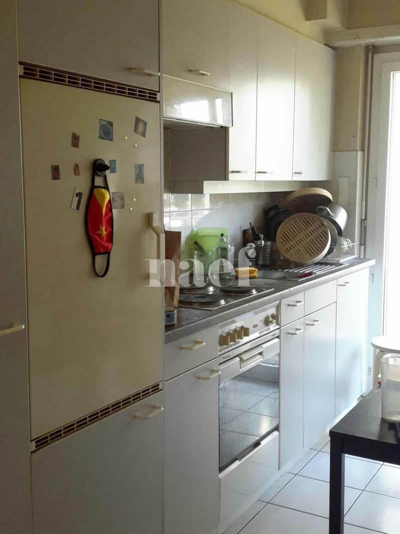 Appartement de 1,5 pièce au rez (2)