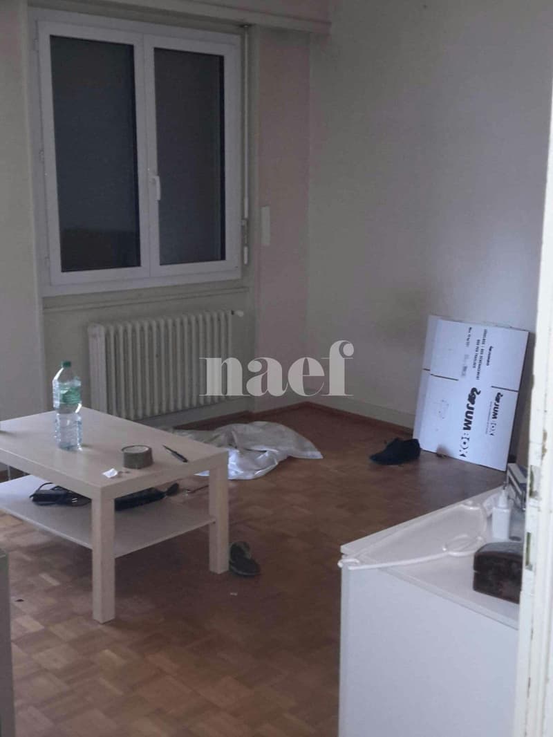 Appartement de 1,5 pièce au rez (3)