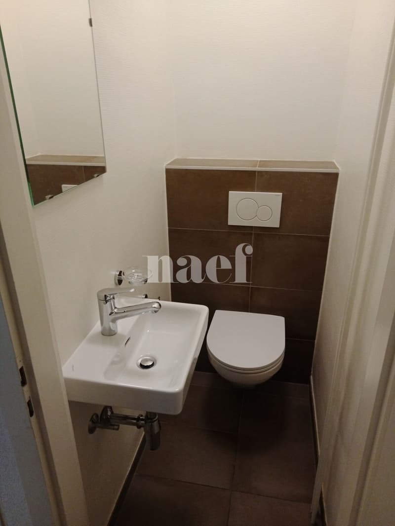 Appartement de 4,5 pièces au 3ème étage (9)
