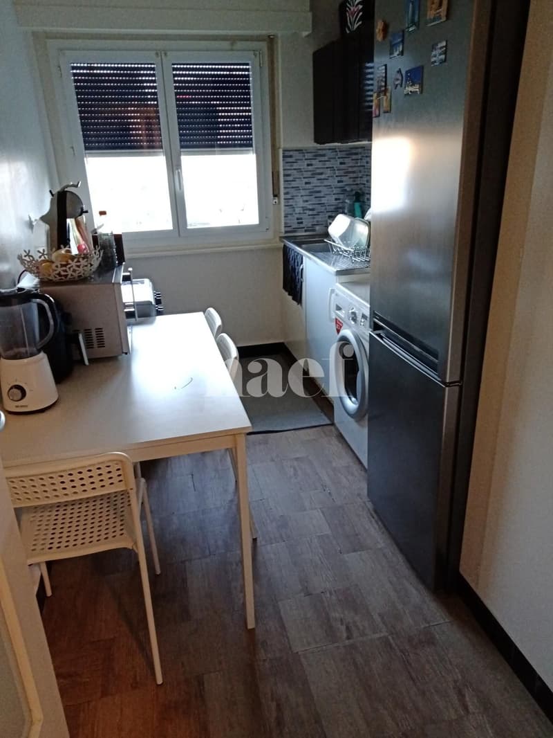 Appartement, Rez, 2 pièce(s), 46 m2 (2)