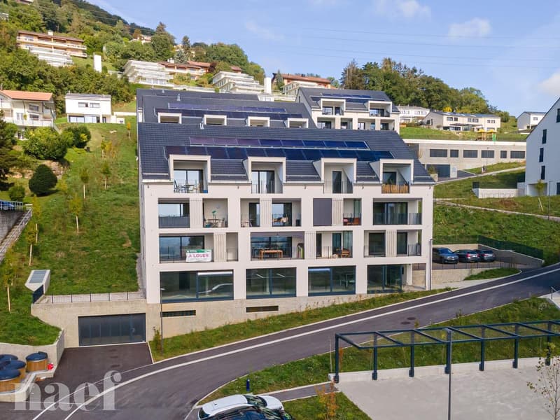 Magnifique appartement moderne avec vue sur le lac (1)
