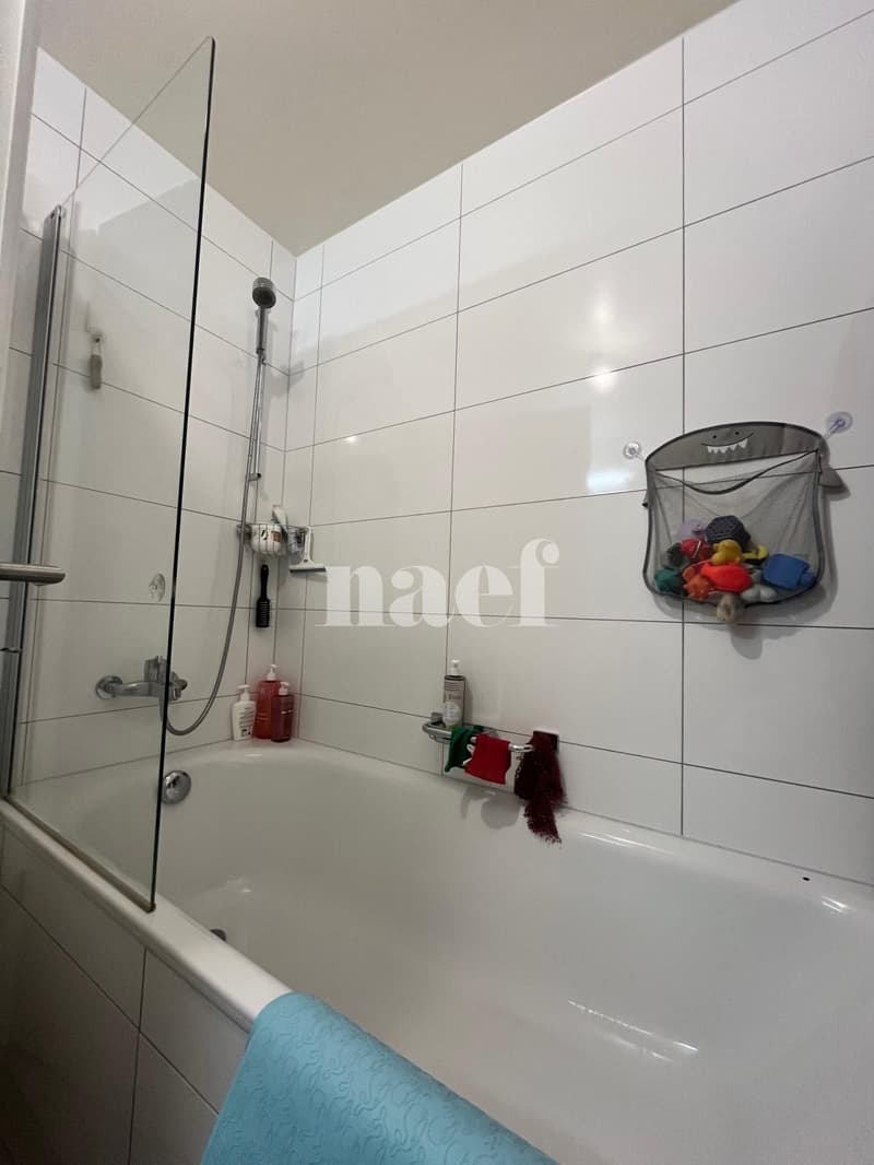 Magnifique appartement moderne avec vue sur le lac (6)