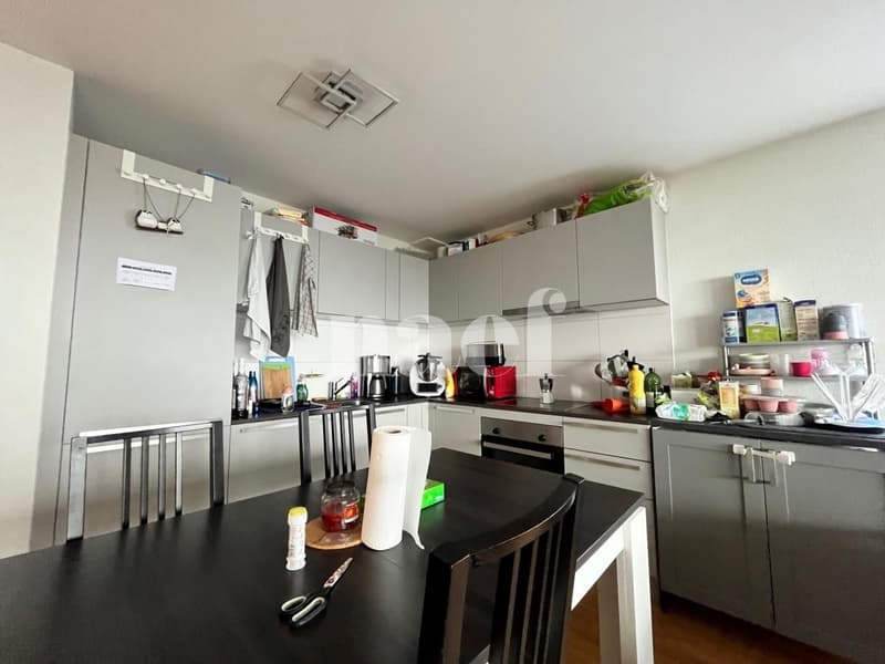 Magnifique appartement moderne avec vue sur le lac (3)