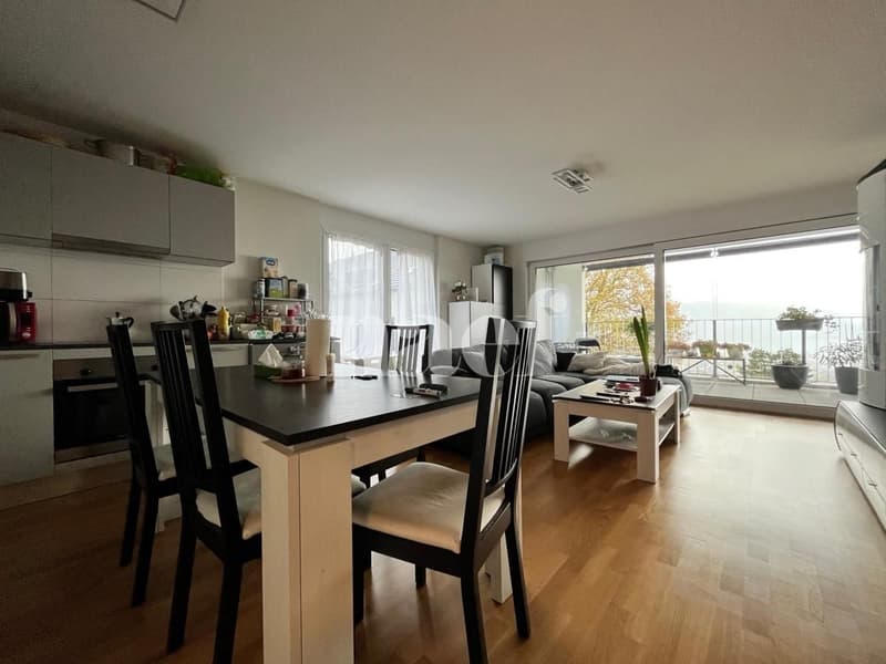 Magnifique appartement moderne avec vue sur le lac (2)
