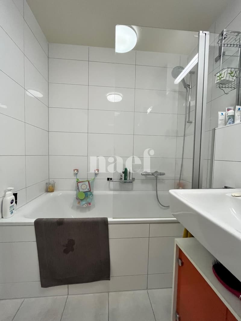 Magnifique appartement moderne avec vue sur le lac (6)