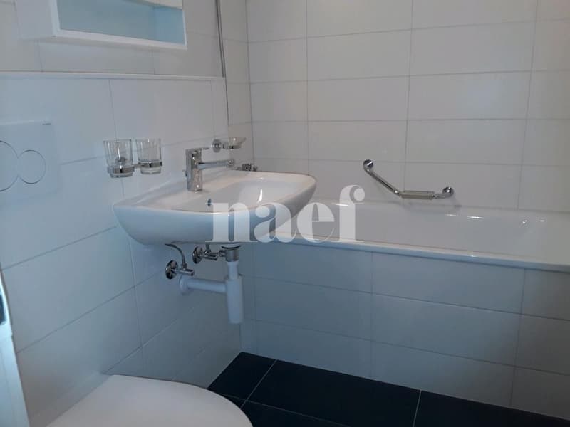 Appartement rénové de 2 pièces au 4ème étage (4)