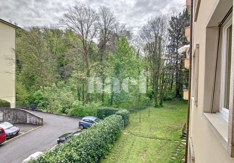 Bel appartement de 2.5 pièces au rez-de-chausée (7)