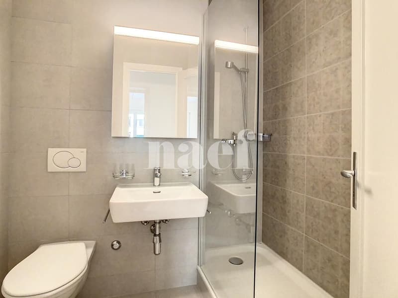 Bel appartement de 2.5 pièces au rez-de-chausée (5)